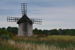 DSC_0649