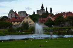 DSC_0821