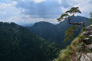Read more about the article Pieniny – byle niespodzianka!